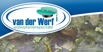 Waterplantenspecialist